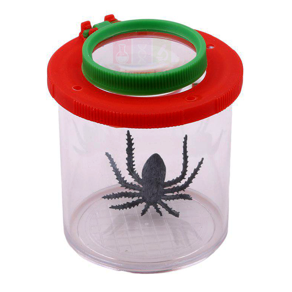 Bug Box